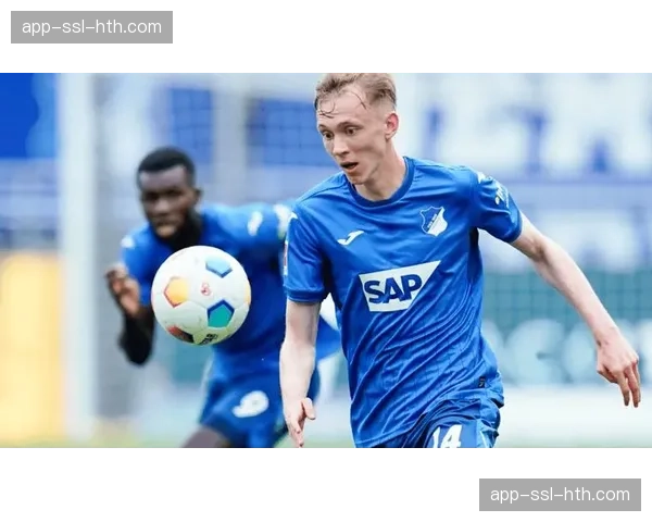霍芬海姆3-2逆转战胜达姆施塔特，送对手提前五轮降级